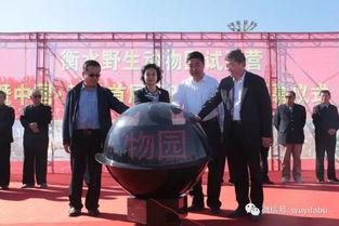 武邑爆料最新新闻报道,聚焦热点事件深度解析  第3张