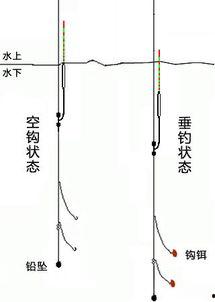 爆料鲢鳙钓法视频教程,视频教程深度解析  第2张 爆料鲢鳙钓法视频教程,视频教程深度解析  第2张