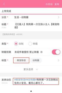 爆料视频从哪里投稿好呢,一网打尽热门渠道  第2张 爆料视频从哪里投稿好呢,一网打尽热门渠道  第2张